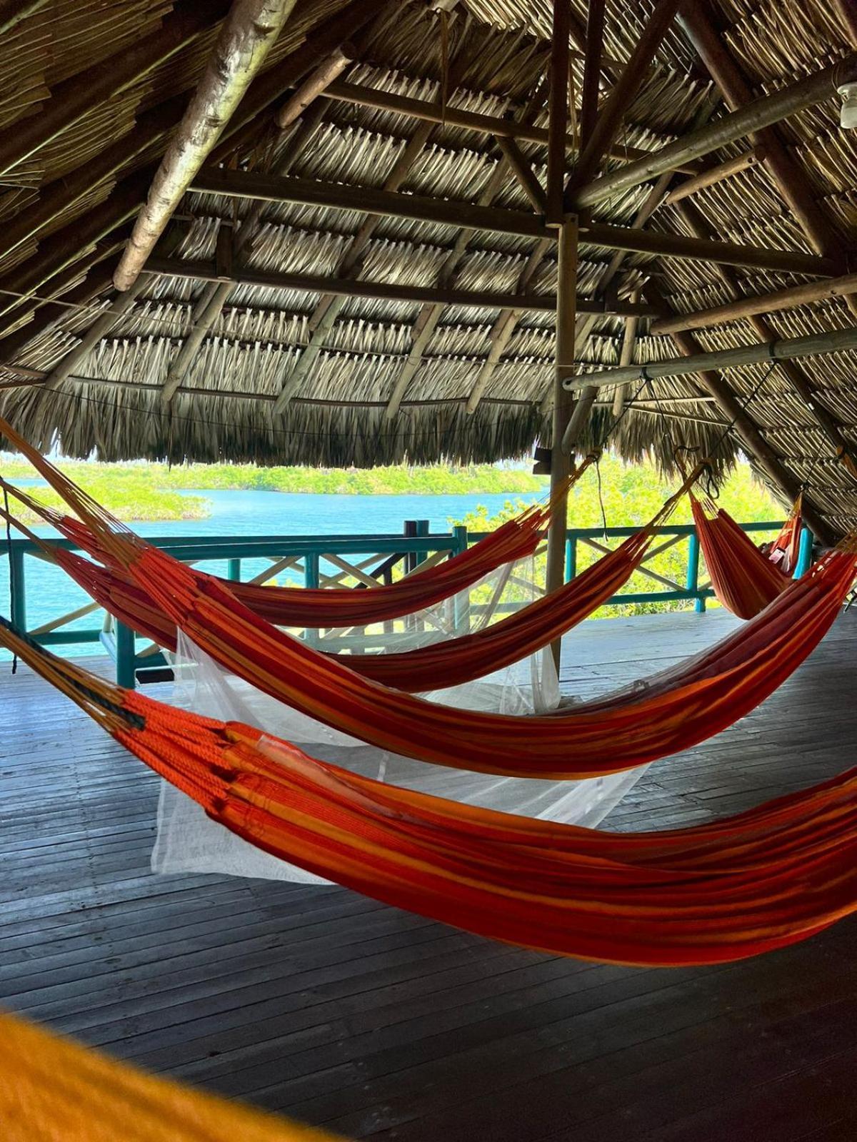 Hotel El Arca Tintipan Island Exterior foto